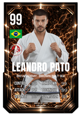 Carta personalizada BJJ cinturón marrón adulto | Regalo Jiu-Jitsu personalizado